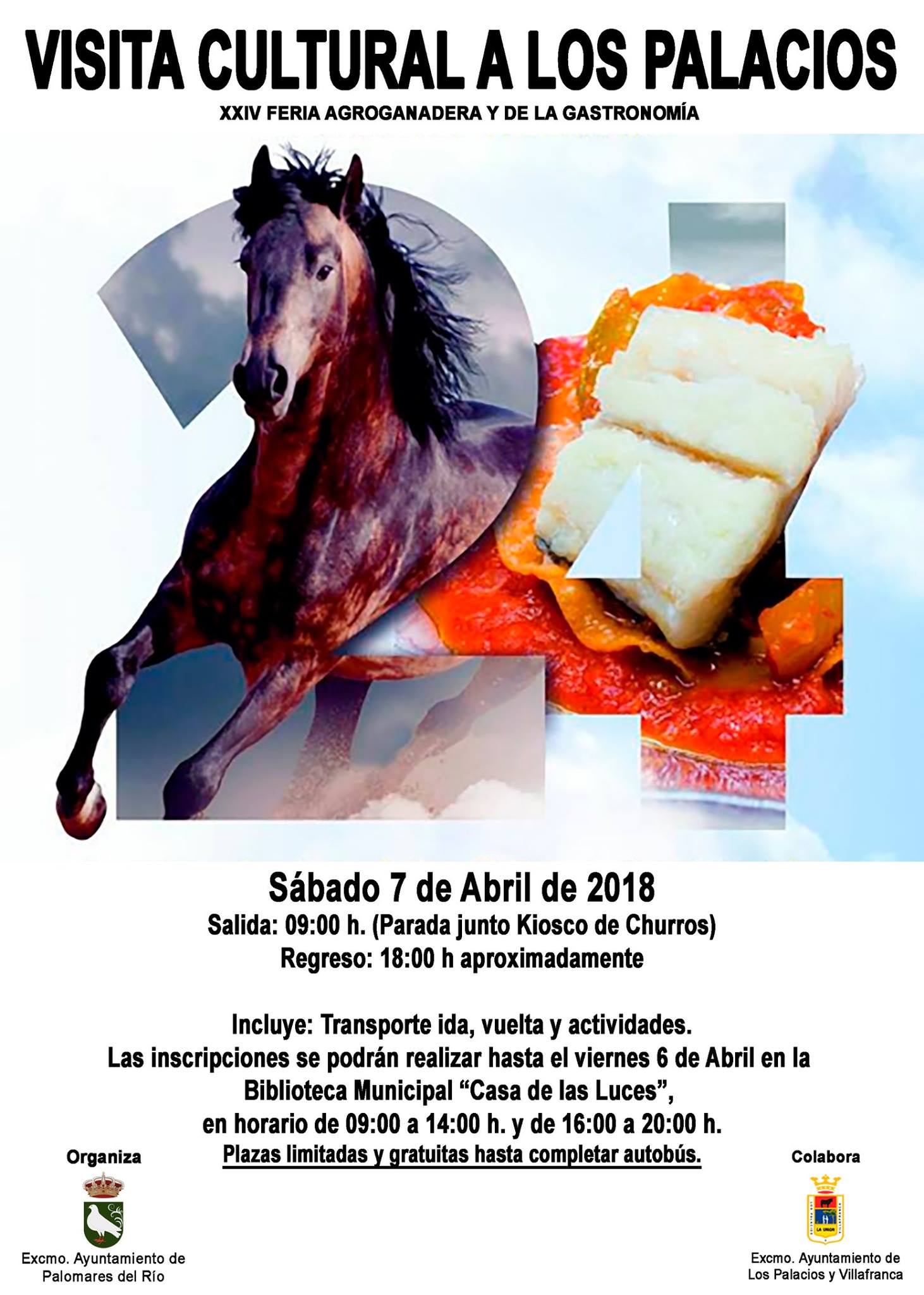 ÁREA DE CULTURA Y TURISMO