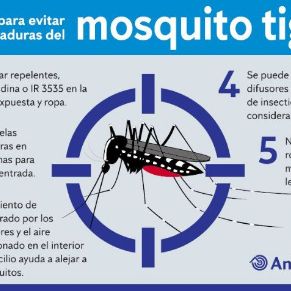 293470717_411799730977679_5298108429673154416_n