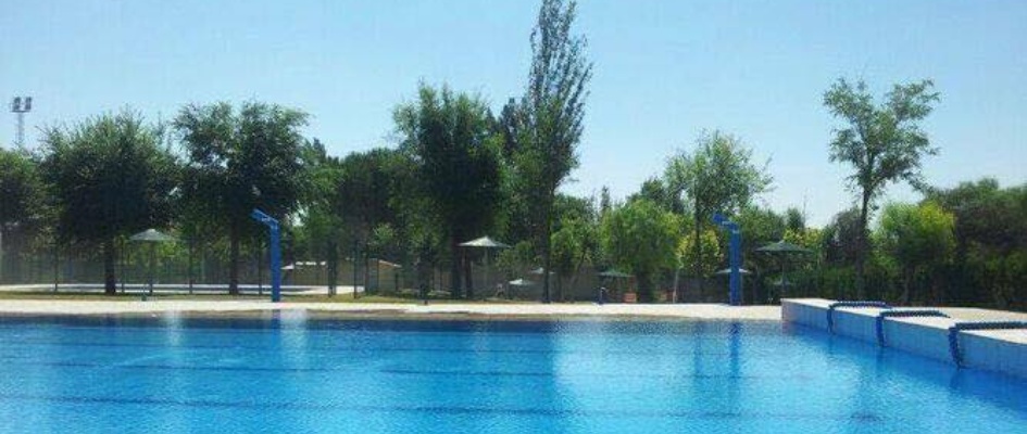 293481646_411932304297755_2304446003867364456_n