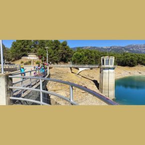 295640355_420660853424900_8923460672077141067_n