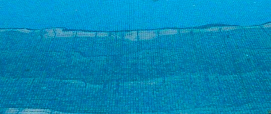 309383016_465247622299556_216666837281099151_n