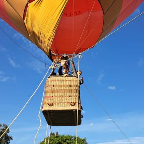 312239736_490363649787953_4522134554280607925_n