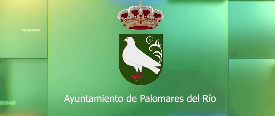 vlcsnap-2022-09-29-08h23m02s989