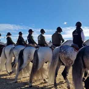 333023917_968367657880693_7697399427284859691_n