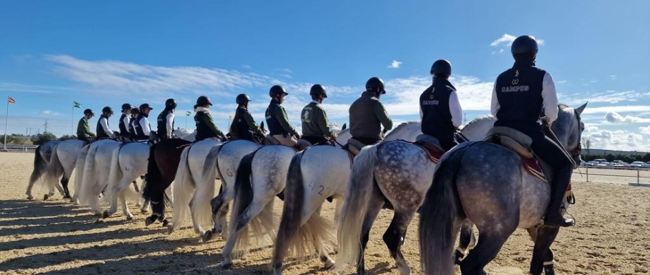 333023917_968367657880693_7697399427284859691_n