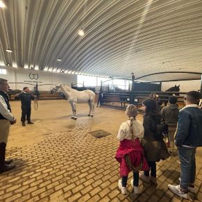 333603218_1442191843187978_4911619826720905046_n