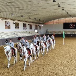 333653419_1619144165205265_7127555585909123887_n