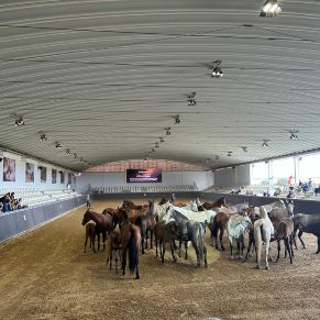 333811962_759036052112930_3993712331206848412_n