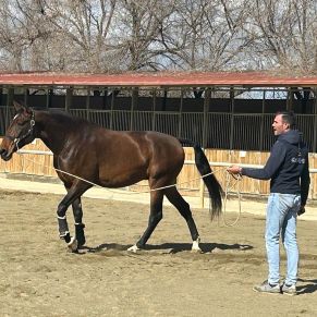 333812217_970954507620936_5498740267525834513_n