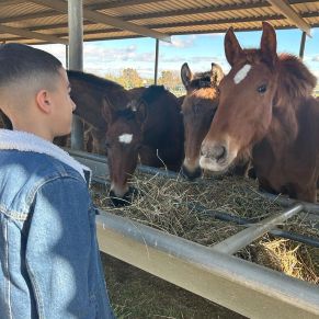 333824825_6616924341655137_5175015189165659497_n