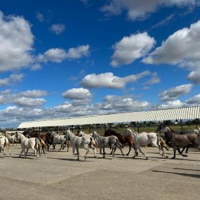 334012215_753701349369771_4827194973312956614_n