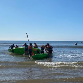 338815637_239971365102323_7389198785266854126_n