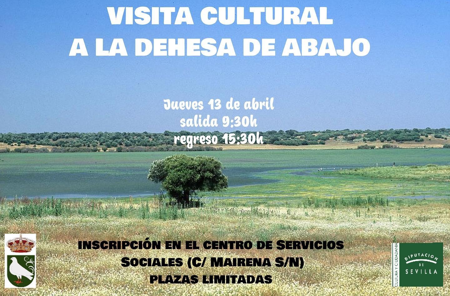 340158234_2704638999671743_9222653590888832776_n