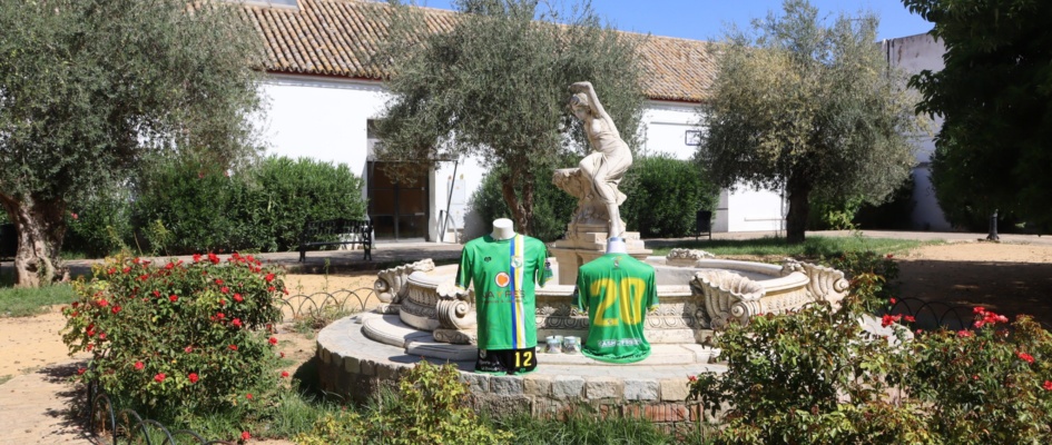 380871445_701673708656945_5915481665317466021_n