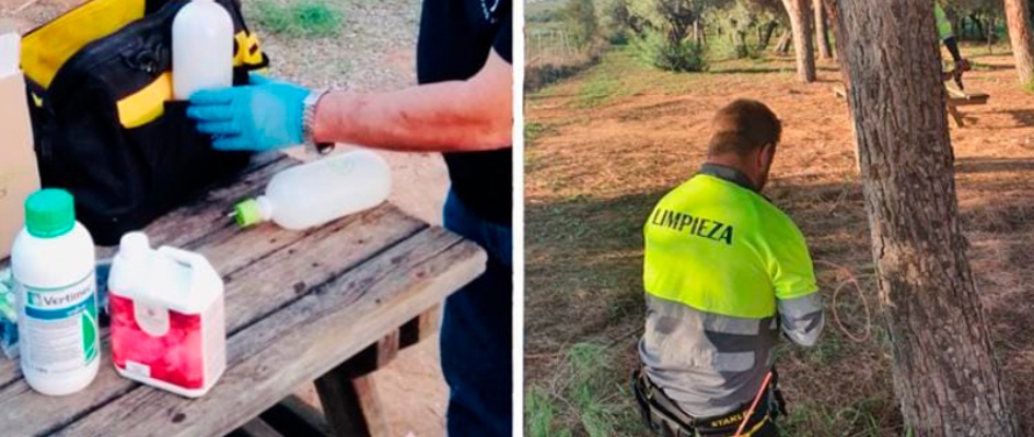 381412324_707648478059468_414080385556013746_n_