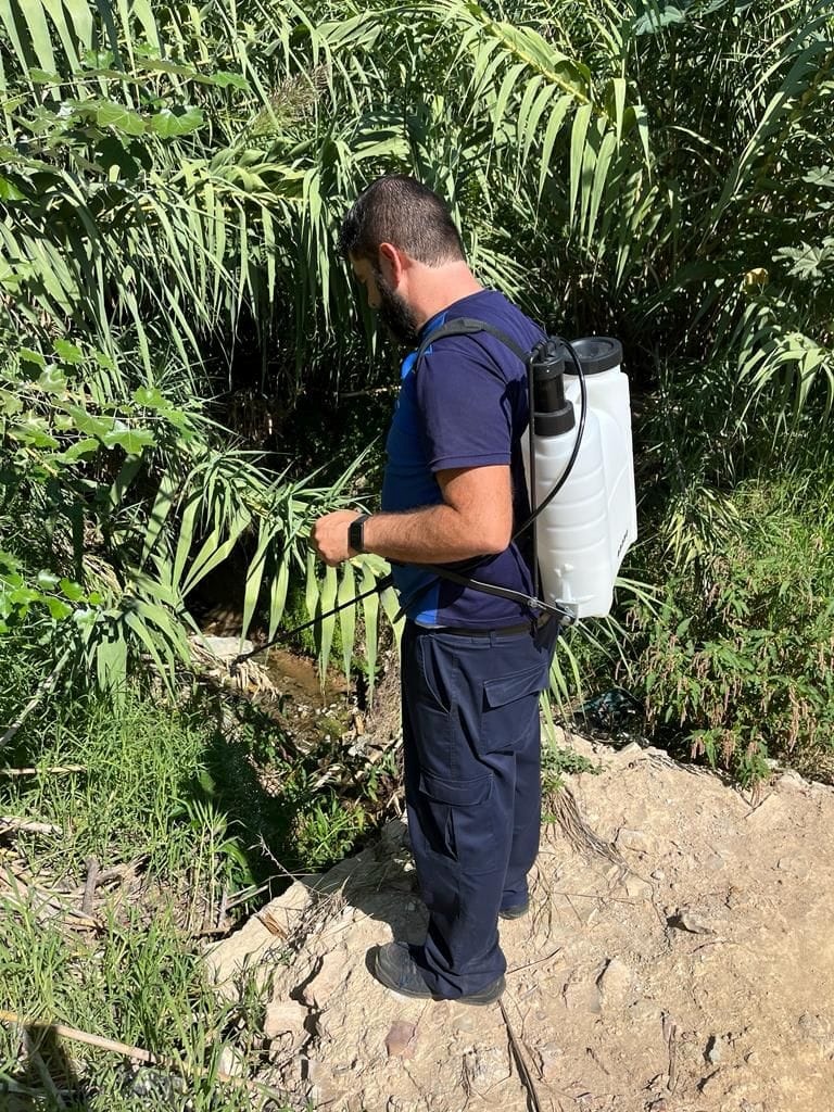 385011113_711231077701208_9120992792251969079_n