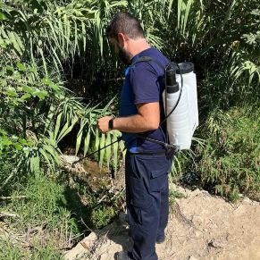 385011113_711231077701208_9120992792251969079_n