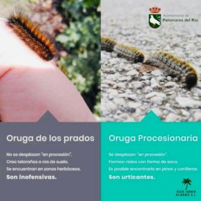 385242063_707648508059465_6501130039312350198_n