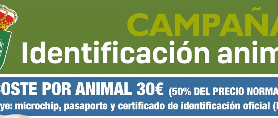 386076920_709433597880956_207030722371923246_n_