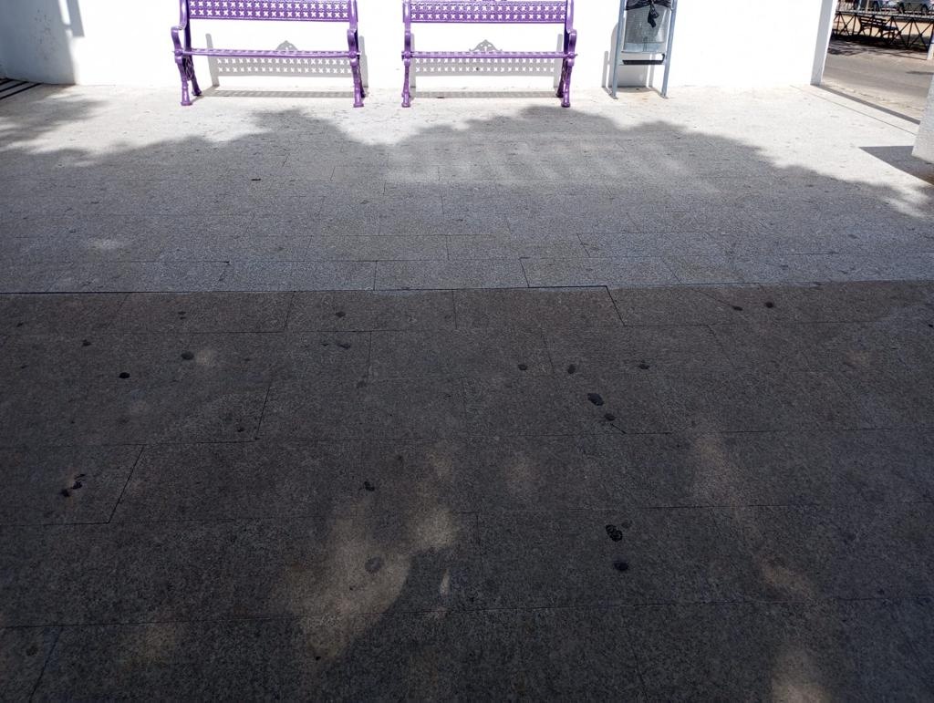 386175250_710991497725166_8215913201485618732_n