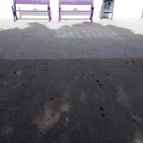 386175250_710991497725166_8215913201485618732_n