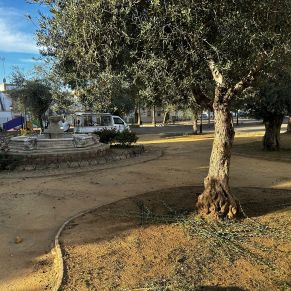 387732768_713451727479143_1151754176970473927_n