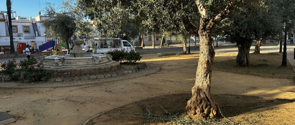 387732768_713451727479143_1151754176970473927_n