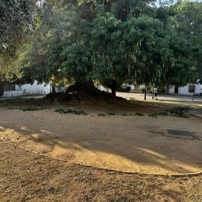 387826822_713451644145818_7890169719647749971_n