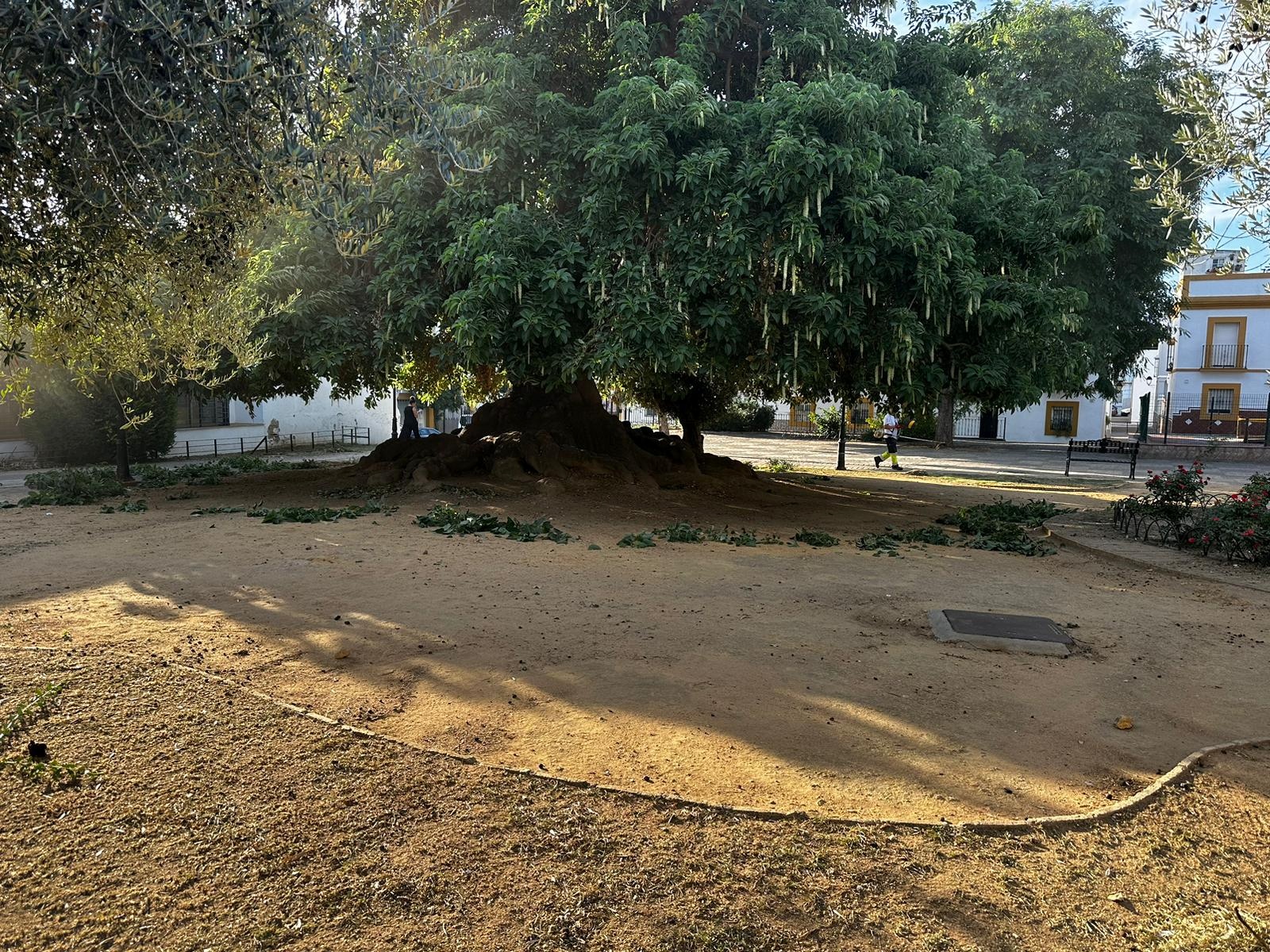 387826822_713451644145818_7890169719647749971_n