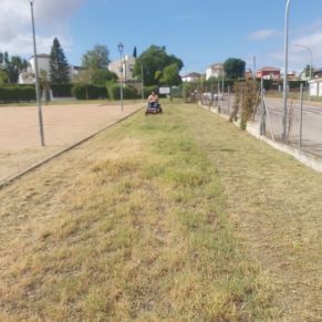 391692246_720785546745761_9056483313077827587_n