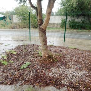 391694368_720785170079132_2910940660515163319_n