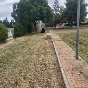 391710865_720785476745768_4590772519457987184_n