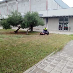 391711955_720785373412445_5787571489524881101_n