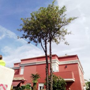 391733175_718072370350412_2530386247261108917_n