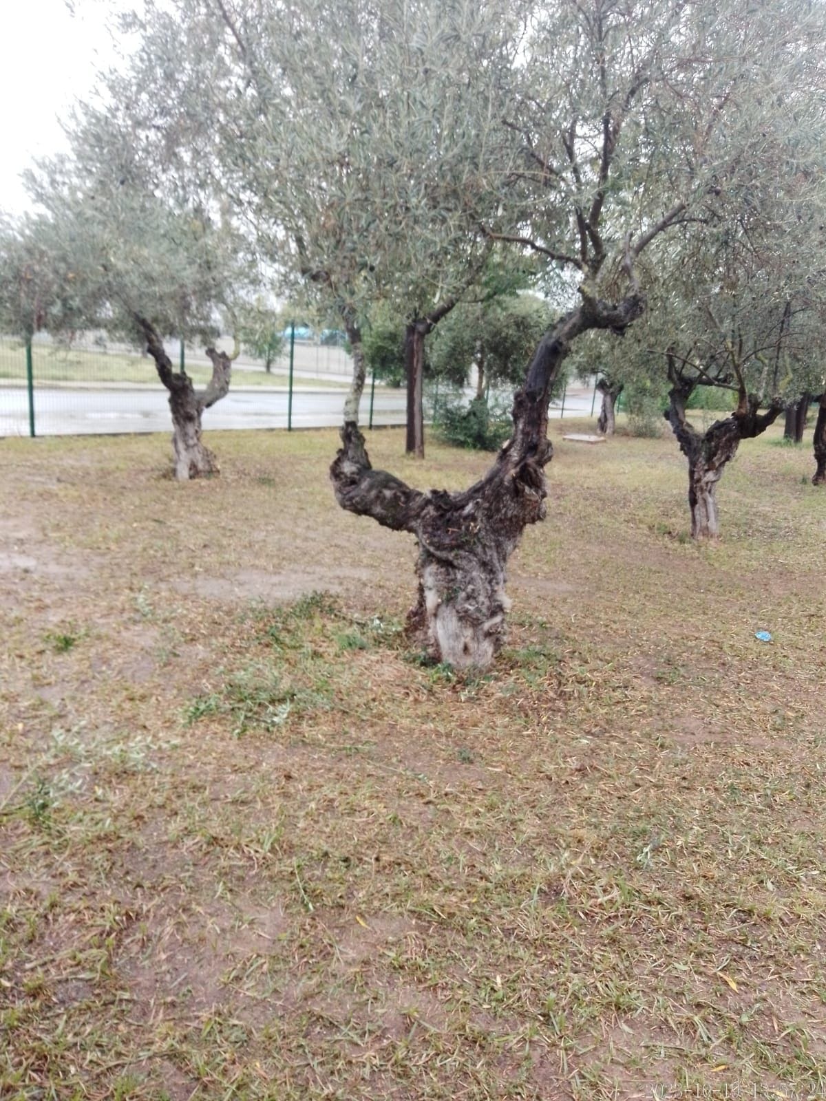 392864024_720785246745791_387213083725304911_n