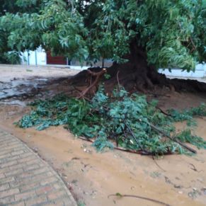 395208946_722601279897521_7427127490369266746_n