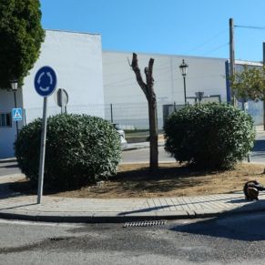 401794749_735927075231608_420621417392407296_n