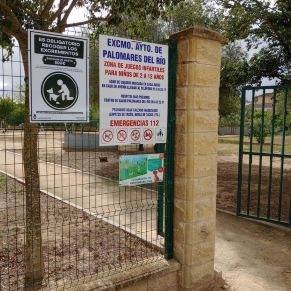 402938533_739068828250766_7915141568685711675_n