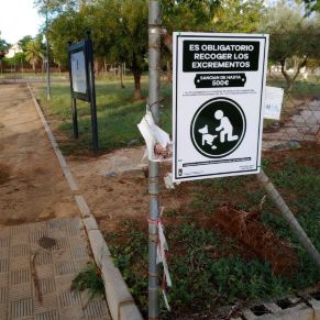 402986803_739069024917413_4997855526600634652_n