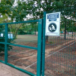 403074790_739069014917414_5900468197552732138_n