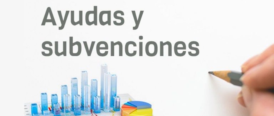 ayudas-subvenciones-768x403-1-1-1773840706