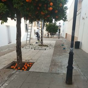 424666110_783812000443115_8103583899063738052_n