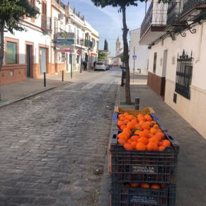 424700866_783812490443066_4959483555628460187_n