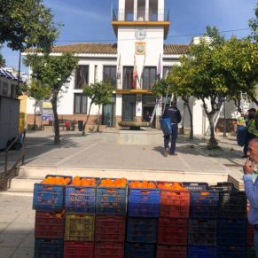 424721317_783812220443093_3073983021923553493_n