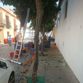 425317496_783811980443117_2007904604149021118_n