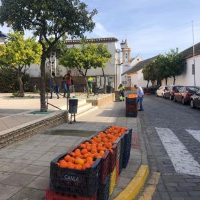 425344413_783812293776419_7169526243371730335_n