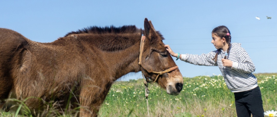 432218327_806527408171574_21709803835881251_n_