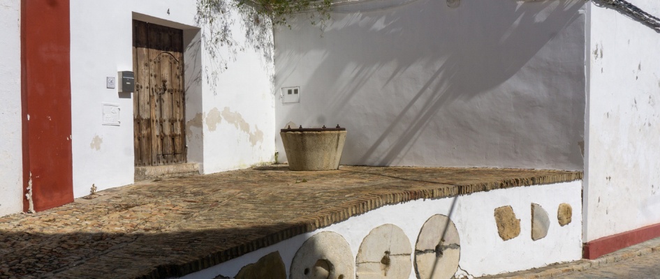 432226755_807909481366700_2737913467434700466_n_