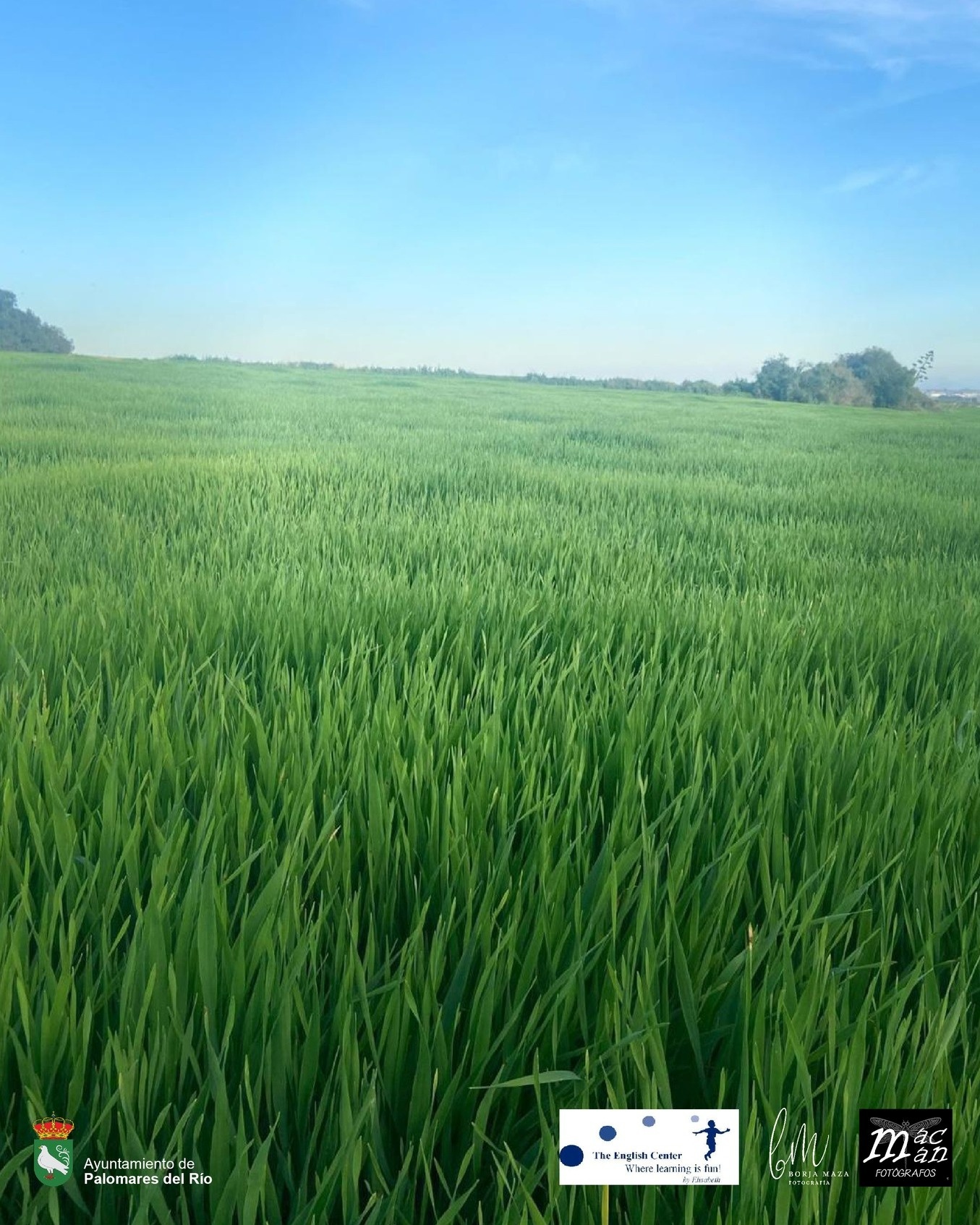 432228461_806546171503031_522858287014409985_n