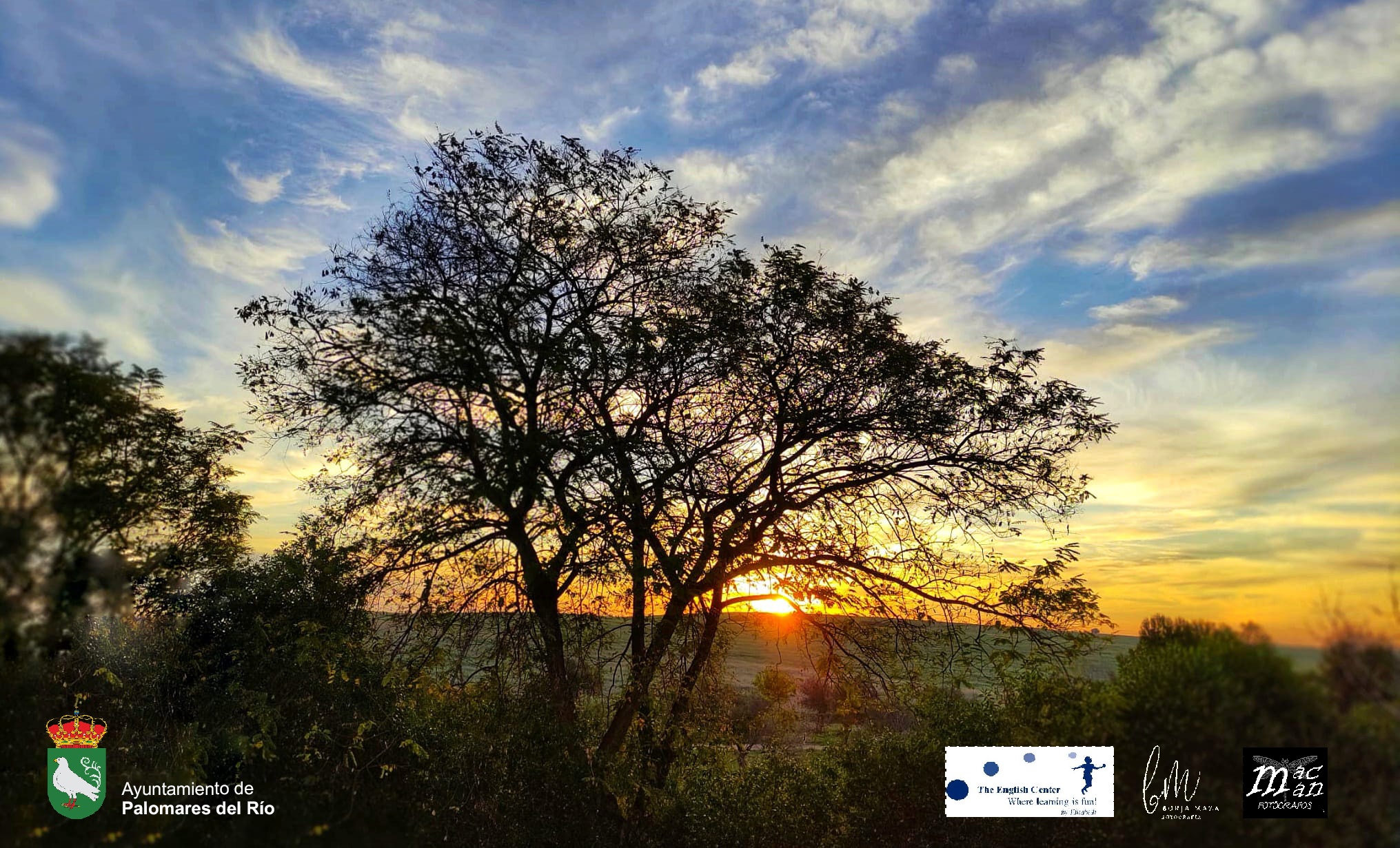 432236045_807905464700435_8481695510209905059_n